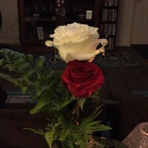 Meet your Posher, Lorine